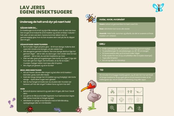 Lave jeres egne insektsugere